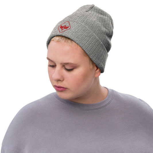 Iconic Ribbed knit beanie