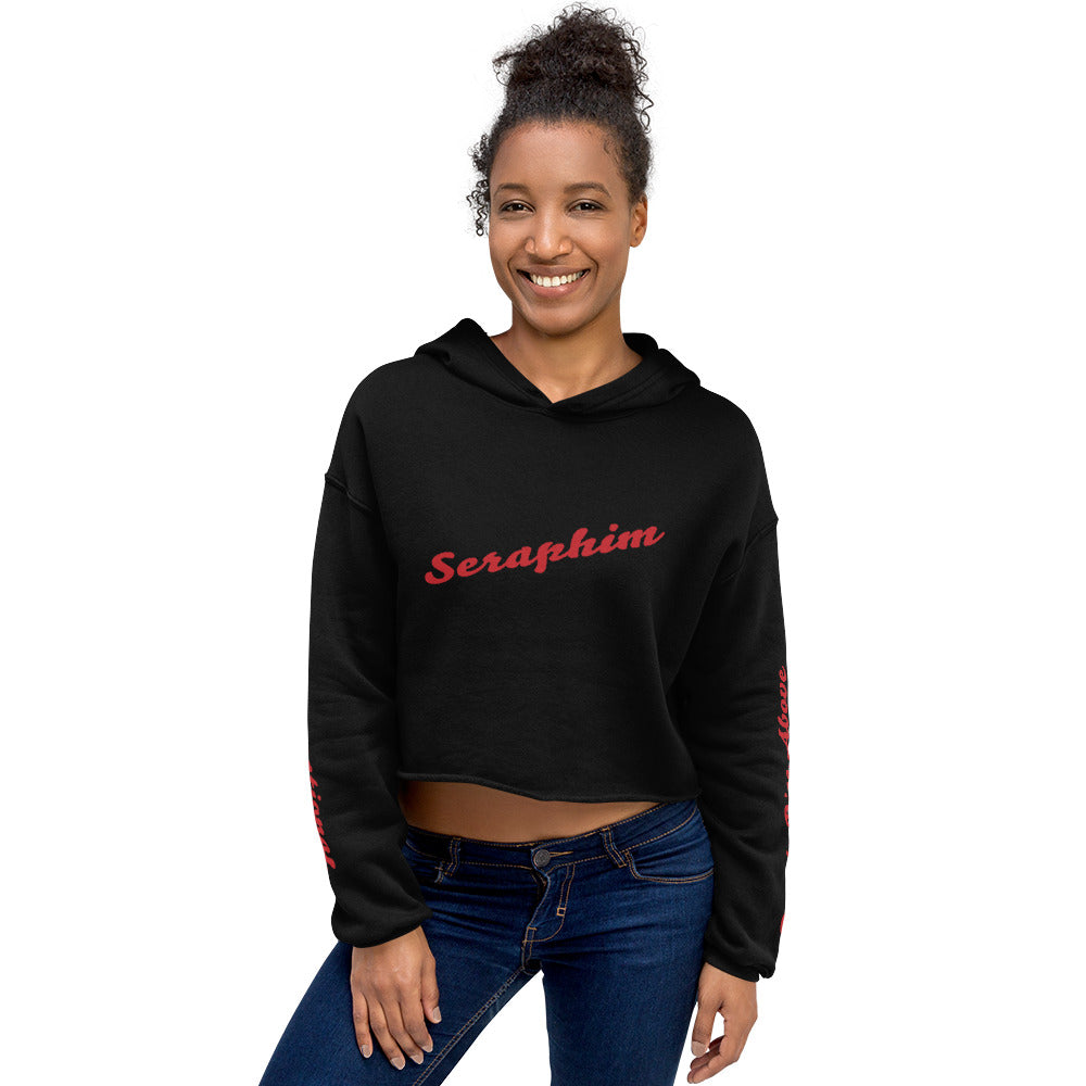 Retro Seraphim Crop Hoodie