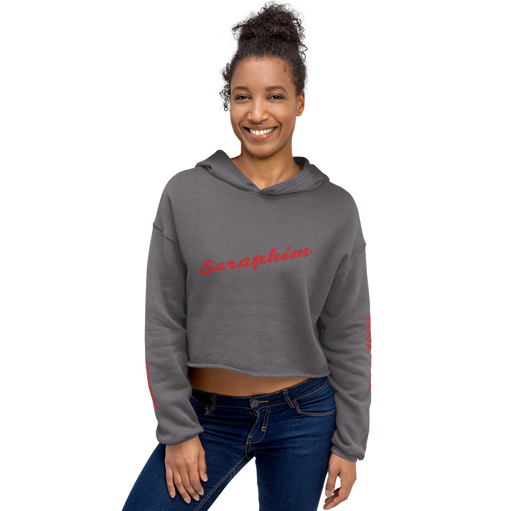Retro Seraphim Crop Hoodie