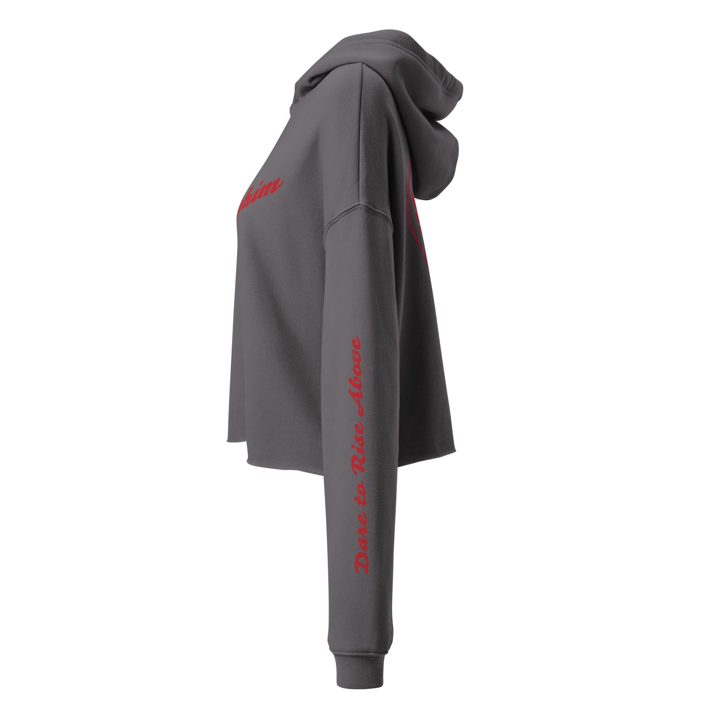 Retro Seraphim Crop Hoodie