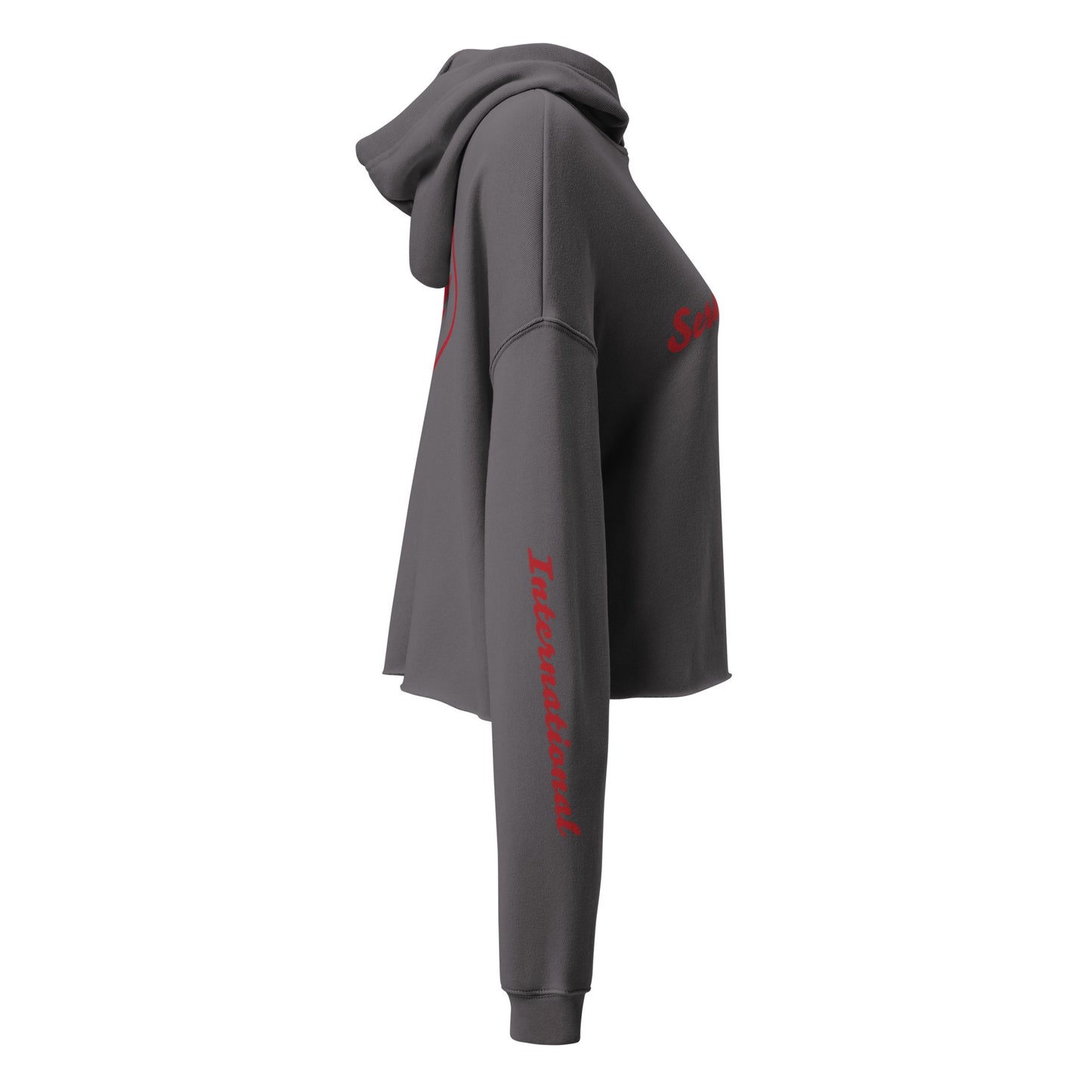 Retro Seraphim Crop Hoodie